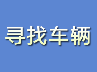 江岸寻找车辆