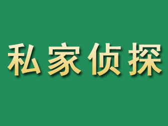 江岸市私家正规侦探